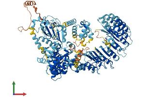 AlphaFold protein structure predicition of Human Recombinant NLRP2 Protein, UniprotID Q9NX02