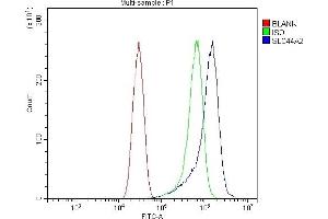 Flow Cytometry analysis of HEPA1-6 cells using anti-SLC44A2 antibody (ABIN7599530).