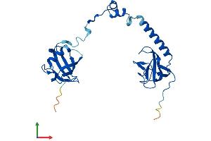 AlphaFold protein structure predicition of Human Recombinant TBCB Protein, UniprotID Q99426