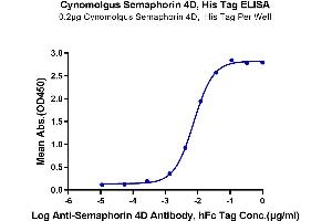 Immobilized Cynomolgus Semaphorin 4D, His Tag at 2 μg/mL (100 μL/well) on the plate.