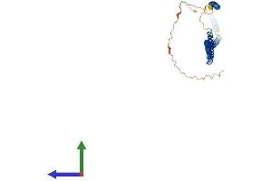 AlphaFold protein structure predicition of Human Recombinant SYCE1 Protein, UniprotID Q8N0S2
