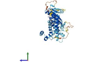 AlphaFold protein structure predicition of Human Recombinant TIGD3 Protein, UniprotID Q6B0B8