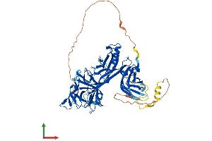 AlphaFold protein structure predicition of Mouse Recombinant Rbpj Protein, UniprotID P31266
