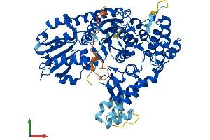 AlphaFold protein structure predicition of Mouse Recombinant Stxbp1 Protein, UniprotID O08599