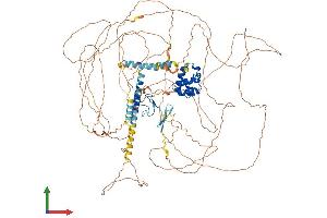 AlphaFold protein structure predicition of Mouse Recombinant Phc3 Protein, UniprotID Q8CHP6