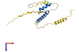 AlphaFold protein structure predicition of Human Recombinant ID1 Protein, UniprotID P41134