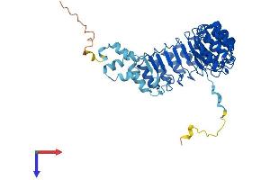 AlphaFold protein structure predicition of Human Recombinant FBXL20 Protein, UniprotID Q96IG2