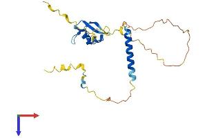 AlphaFold protein structure predicition of Mouse Recombinant Lysmd1 Protein, UniprotID Q9D0E3