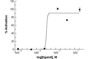 Endothelin 1 (EDN1) peptide