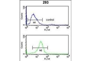 CD49f Antibody (C-term) (ABIN653202 and ABIN2842747) flow cytometry analysis of 293 cells (bottom histogram) compared to a negative control cell (top histogram).