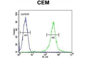 AMY2B Antibody (N-term) flow cytometric analysis of CEM cells (right histogram) compared to a negative control cell (left histogram). (AMY2B anticorps  (N-Term))