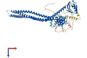 AlphaFold protein structure predicition of Mouse Recombinant Appl2 Protein, UniprotID Q8K3G9