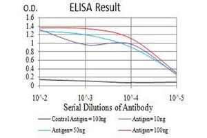 anti-BCL2-Like 10 (Apoptosis Facilitator) (BCL2L10) (AA 31-186) antibody