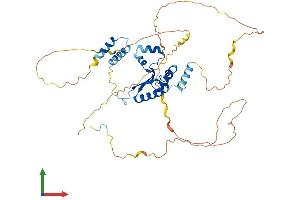 AlphaFold protein structure predicition of Mouse Recombinant Khdrbs1 Protein, UniprotID Q60749