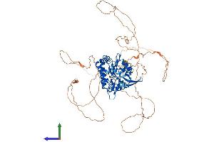AlphaFold protein structure predicition of Mouse Recombinant Itpkc Protein, UniprotID Q7TS72
