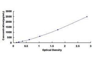 ELISA image for Major Histocompatibility Complex, Class II, DR beta 1 (HLA-DRB1) ELISA Kit (ABIN425377)