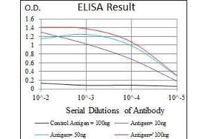 Black line: Control Antigen (100 ng), Purple line: Antigen(10 ng), Blue line: Antigen (50 ng), Red line: Antigen (100 ng),