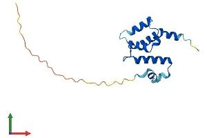 AlphaFold protein structure predicition of Human Recombinant SNTN Protein, UniprotID A6NMZ2