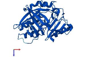 AlphaFold protein structure predicition of Human Recombinant NAT1 Protein, UniprotID P18440