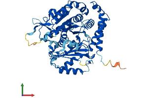 AlphaFold protein structure predicition of Mouse Recombinant Tuba4a Protein, UniprotID P68368