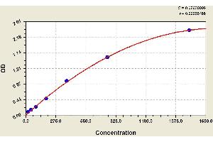 ELISA image for Procollagen III N-Terminal Propeptide (PIIINP) ELISA Kit (ABIN1118233) (PIIINP Kit ELISA)