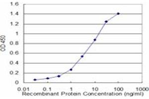 Detection limit for recombinant GST tagged NBR1 is approximately 0.
