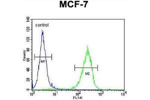 CO027 Antibody (C-term) flow cytometric analysis of MCF-7 cells (right histogram) compared to a negative control cell (left histogram). (C15orf27 anticorps  (C-Term))