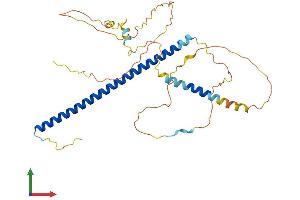 AlphaFold protein structure predicition of Human Recombinant JUND Protein, UniprotID P17535
