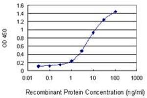 Detection limit for recombinant GST tagged AKR1CL2 is 0.