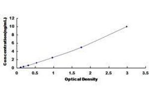ELISA image for Adhesion Molecule with Ig-Like Domain 1 (AMIGO1) ELISA Kit (ABIN1383631)