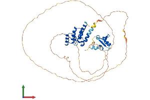 AlphaFold protein structure predicition of Mouse Recombinant Sp110 Protein, UniprotID Q8BVK9