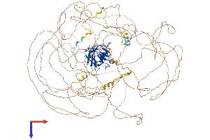 AlphaFold protein structure predicition of Mouse Recombinant Nktr Protein, UniprotID P30415