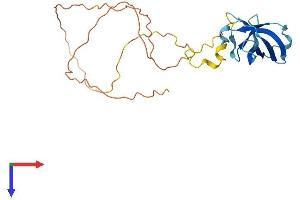 AlphaFold protein structure predicition of Mouse Recombinant Gar1 Protein, UniprotID Q9CY66