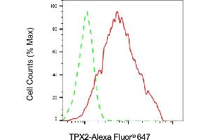 Flow cytometric analysis of TPX2 expression in HAP-1 cells using TPX2 antibody (ABIN7800579), 1:2,000). (Recombinant TPX2 anticorps)