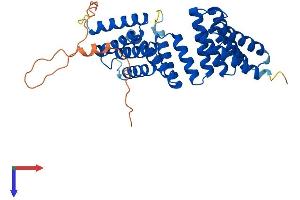 AlphaFold protein structure predicition of Human Recombinant TTC23L Protein, UniprotID Q6PF05