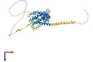 AlphaFold protein structure predicition of Mouse Recombinant Slc10a4 Protein, UniprotID Q3UEZ8