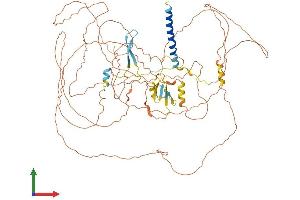 AlphaFold protein structure predicition of Mouse Recombinant Lrif1 Protein, UniprotID Q8CDD9