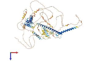 AlphaFold protein structure predicition of Mouse Recombinant Mlxipl Protein, UniprotID Q99MZ3