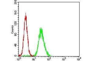 Flow cytometric analysis of Hela cells using WAS mouse mAb (green) and negative control (red).