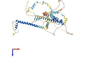 AlphaFold protein structure predicition of Mouse Recombinant Spire1 Protein, UniprotID Q52KF3