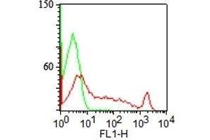 Surface staining of human lymphocytes with CDw75 antibody (LN1) (red) and isotype control (green).