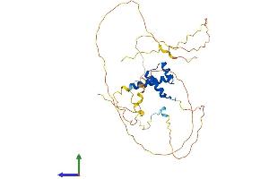 AlphaFold protein structure predicition of Mouse Recombinant Hoxa2 Protein, UniprotID P31245