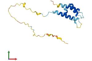 AlphaFold protein structure predicition of Mouse Recombinant Ppp1r14d Protein, UniprotID Q7TT52