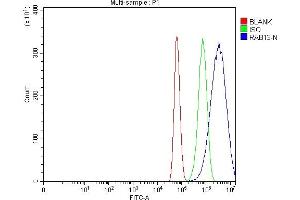 Flow Cytometry analysis of U87 cells using anti-RAB13 antibody (ABIN3043916). (RAB13 anticorps  (C-Term))