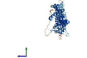 AlphaFold protein structure predicition of Human Recombinant ZDHHC17 Protein, UniprotID Q8IUH5