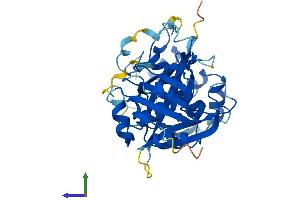 AlphaFold protein structure predicition of Mouse Recombinant Nudt19 Protein, UniprotID P11930