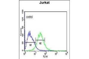 ADFP Antibody (Center) (ABIN651311 and ABIN2840181) flow cytometric analysis of Jurkat cells (right histogram) compared to a negative control cell (left histogram).