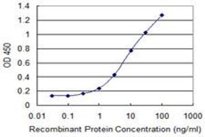 Detection limit for recombinant GST tagged SMO is 0. (SMO anticorps  (AA 653-787))