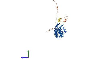 AlphaFold protein structure predicition of Mouse Recombinant Kctd13 Protein, UniprotID Q8BGV7