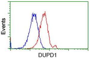 Flow Cytometry (FACS) image for anti-Dual Specificity Phosphatase and Pro Isomerase Domain Containing 1 (DUPD1) antibody (ABIN1497928) (DUPD1 anticorps)